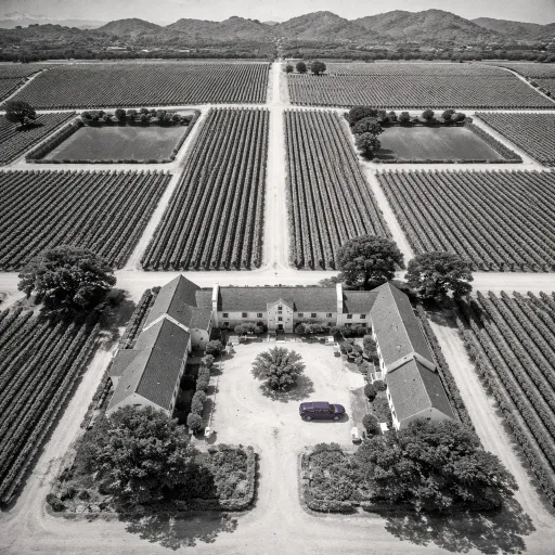 Stellenbosch in a day: how to plan the perfect winelands escape from Cape Town