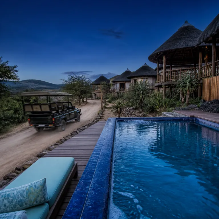 A refined guide to Zulu Nyala Heritage Lodge in Hluhluwe for Cape Town luxury travellers